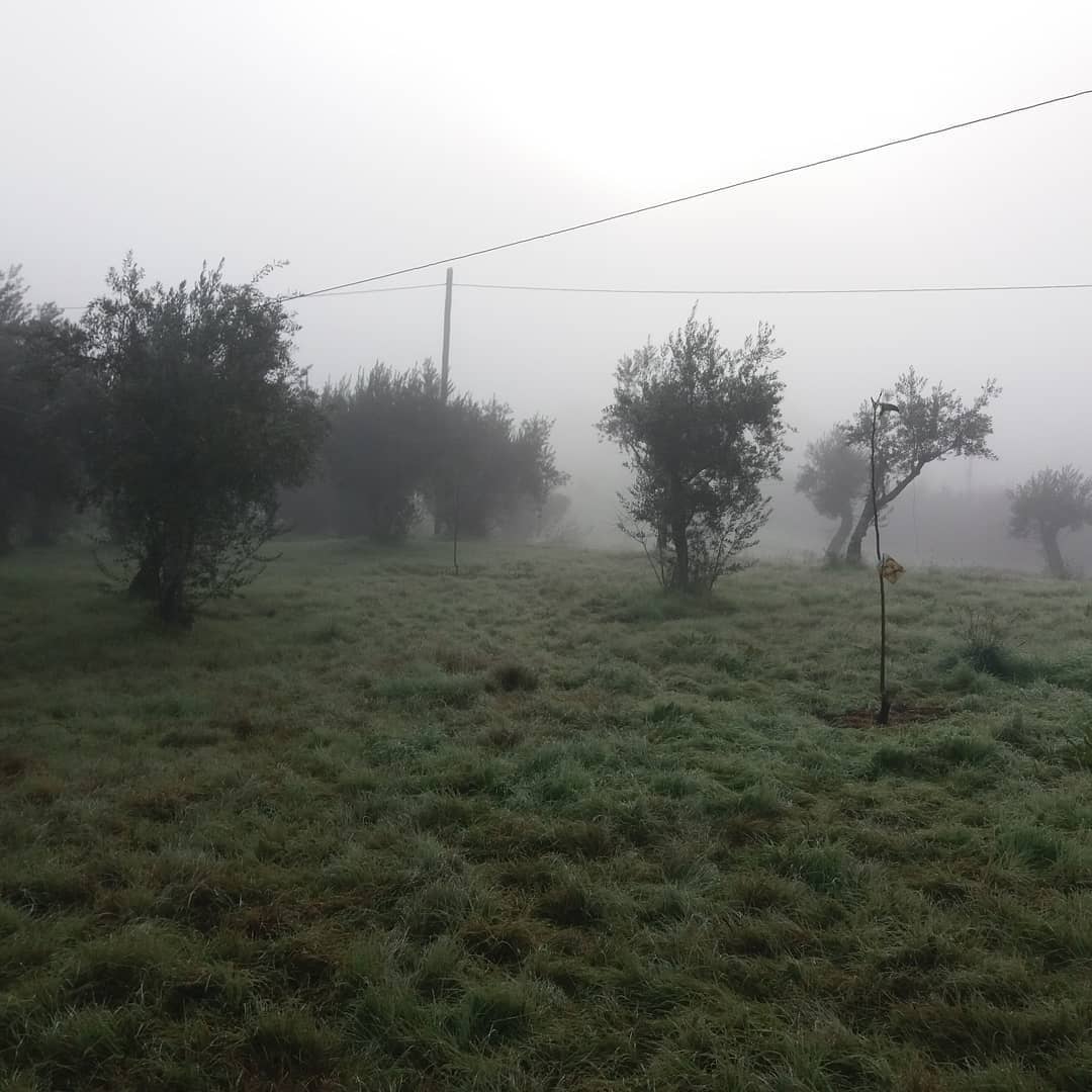 Humanature-landschap in de ochtend